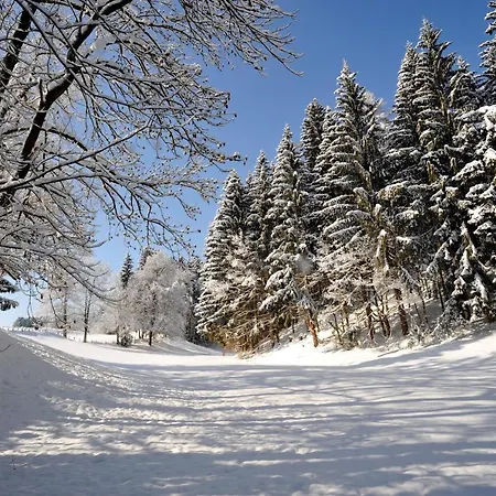 ホテル Alpenresidenz Adler